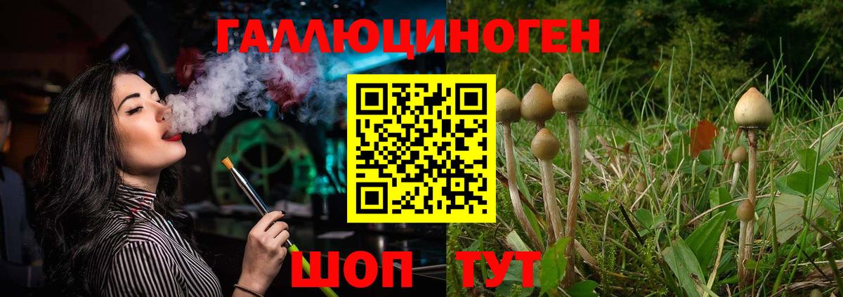 Гусев  Галлюциногенные грибы мухоморы  Вход с VPN 