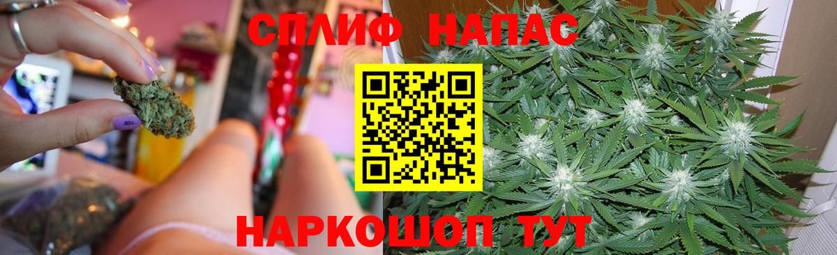 Конопля индика Гусев